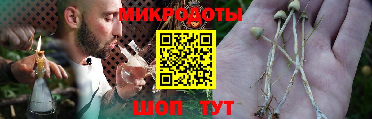 Псилоцибиновые грибы мухоморы Кириши